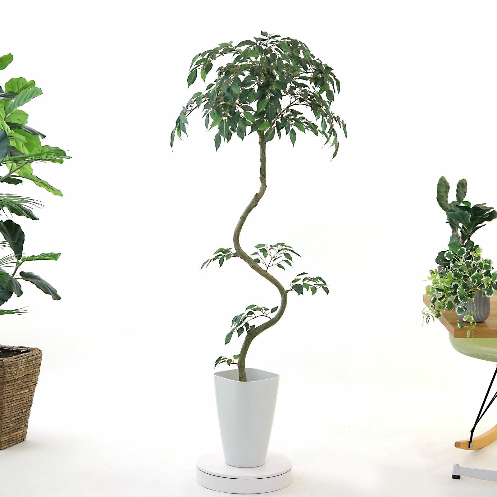 360度回転イメージ