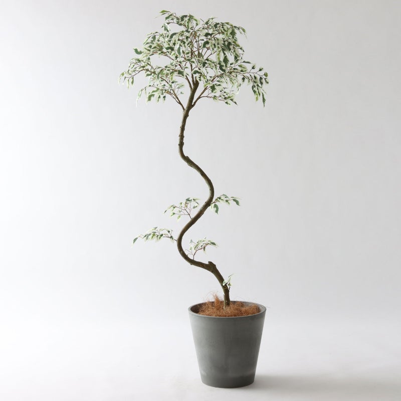 ⑮ Petraポット 小（PT8 グレー）｜高さ調整セット（+10cm）