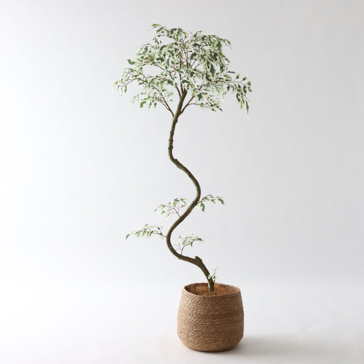 ③ シーグラス 小（SK7）鉢カバーセット