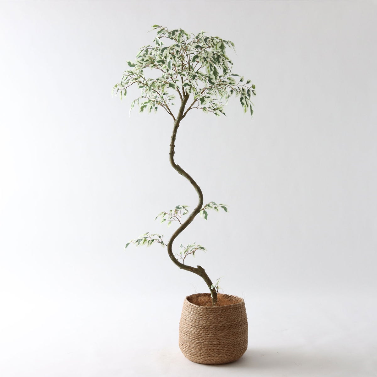 ③ シーグラス 小（SK7）｜標準セット