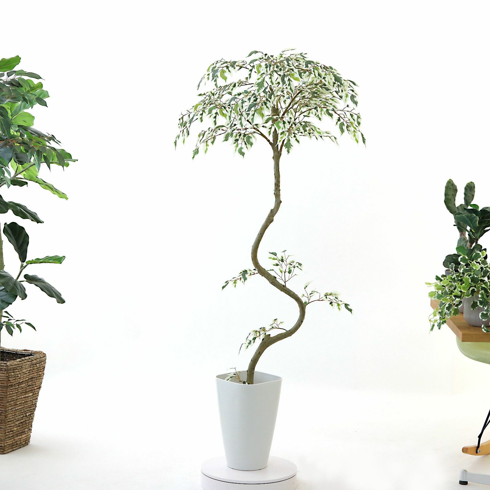 360度回転イメージ