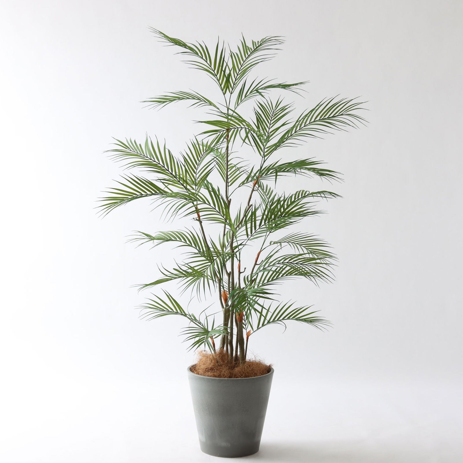 【決まりました】観葉植物　レプリカ　135センチ プレミアム光触媒フェイクグリーン 造花ドットコム zouka.com