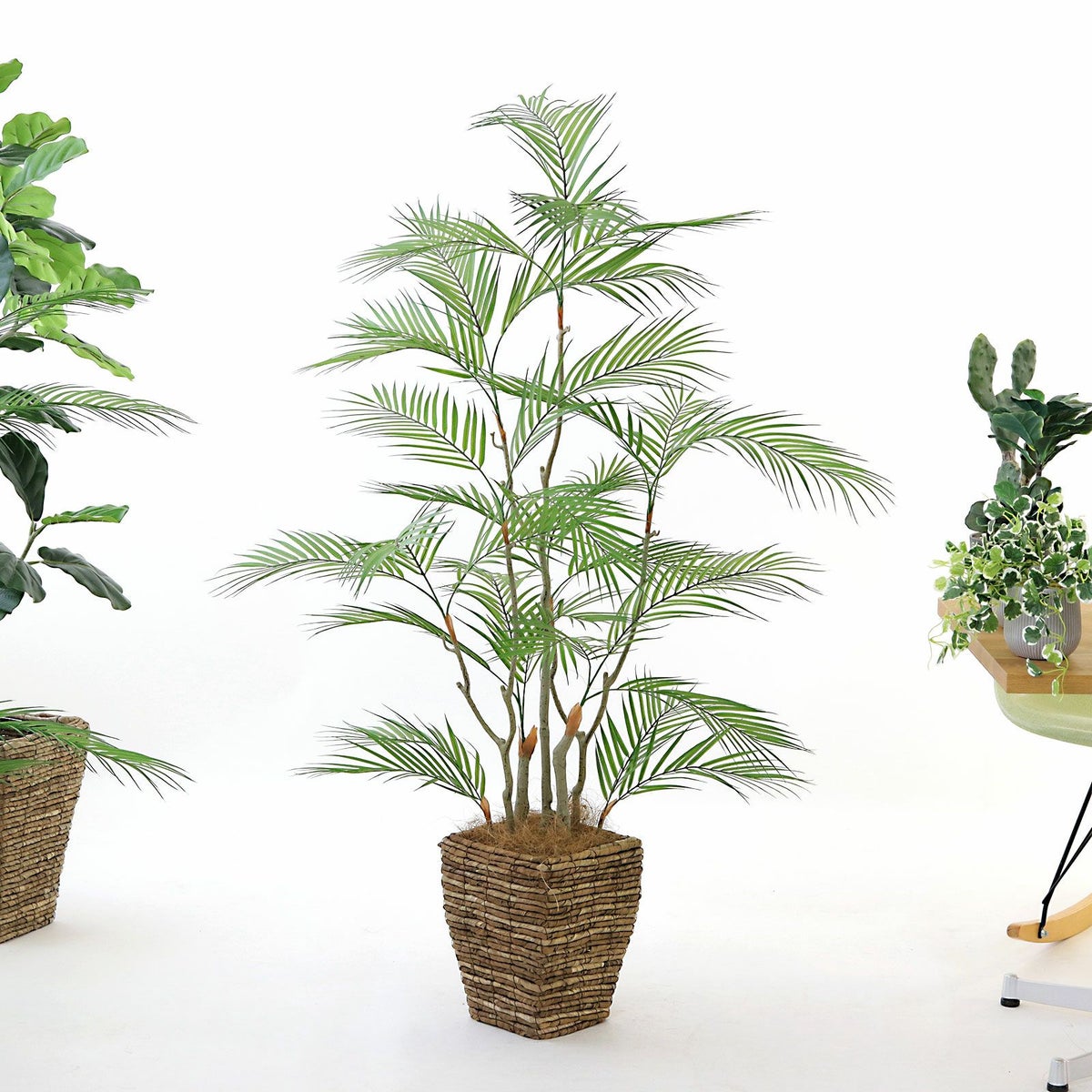 ④ バナナリーフ 小（KG4-SRE）鉢カバーセット