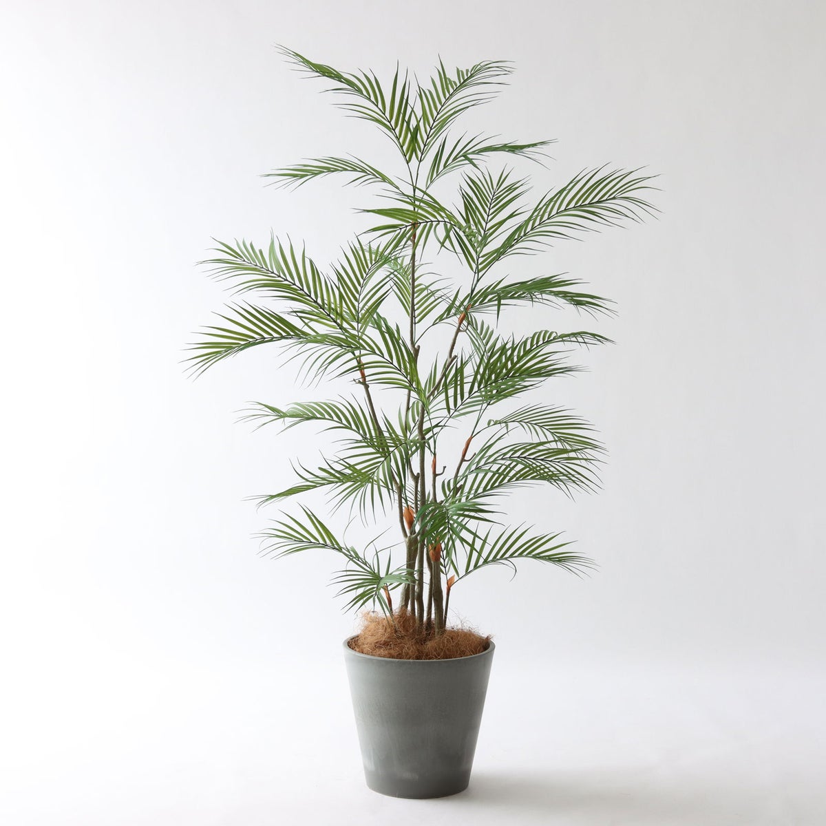 ⑮ Petraポット 小（PT8 グレー）鉢カバー＋底上げセット