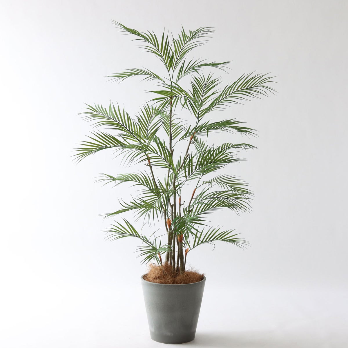 ⑮ Petraポット 小（PT8 グレー）｜高さ調整セット（+10cm）