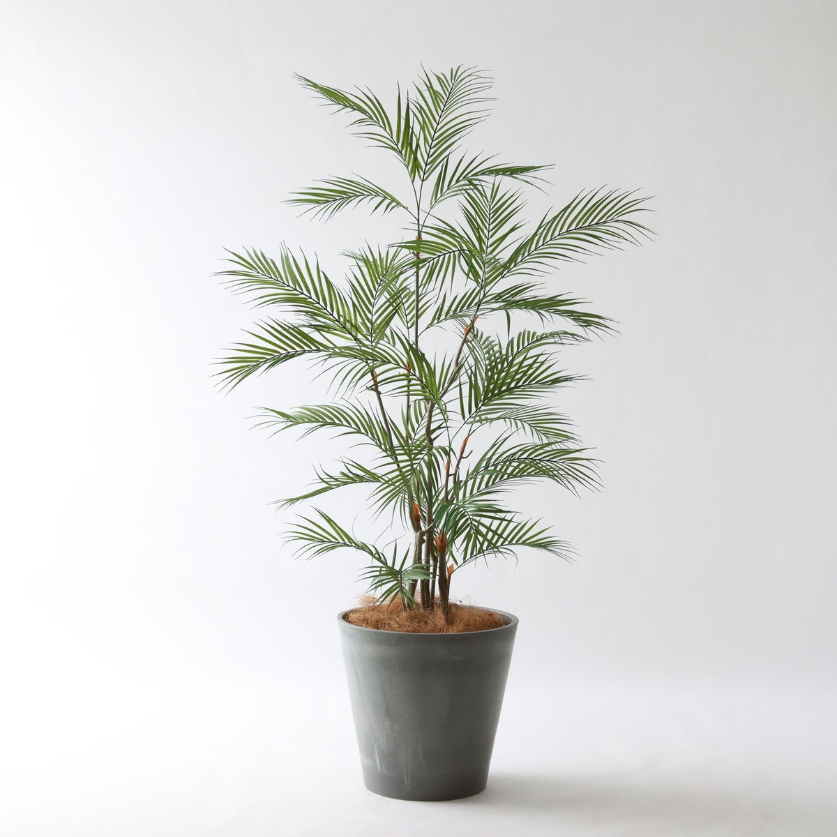 ⑯ Petraポット 大（PT10 グレー）鉢カバー＋底上げセット