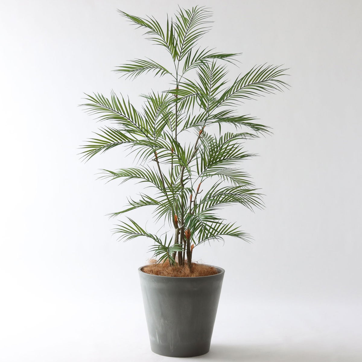 ⑯ Petraポット 大（PT10 グレー）｜高さ調整セット（+15cm）