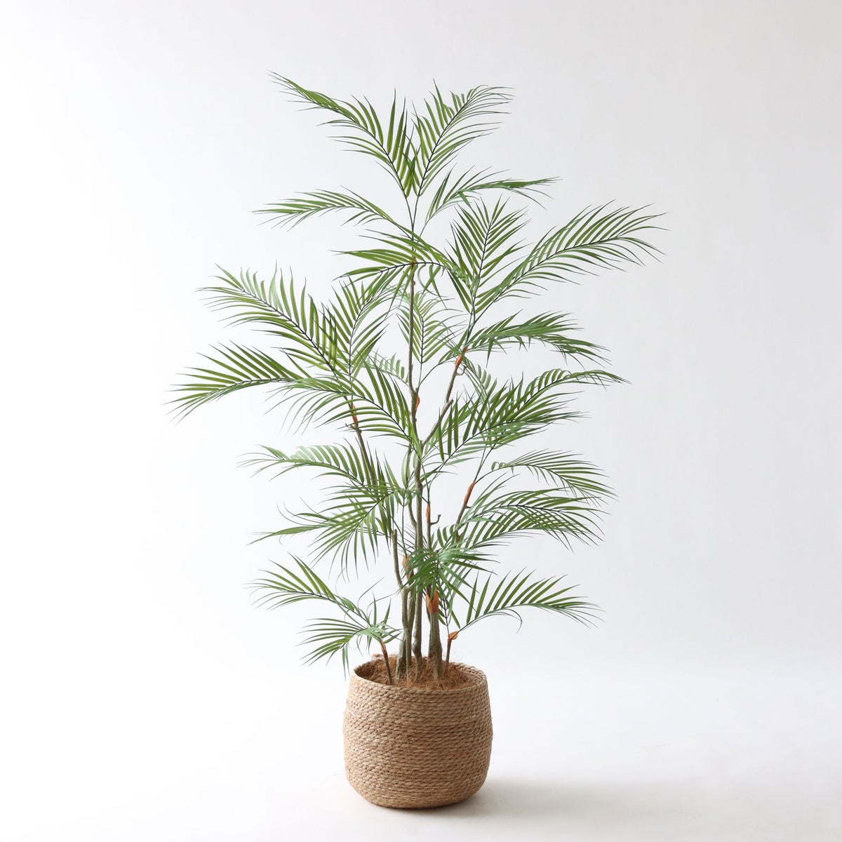 ③ シーグラス 小（SK7）鉢カバーセット