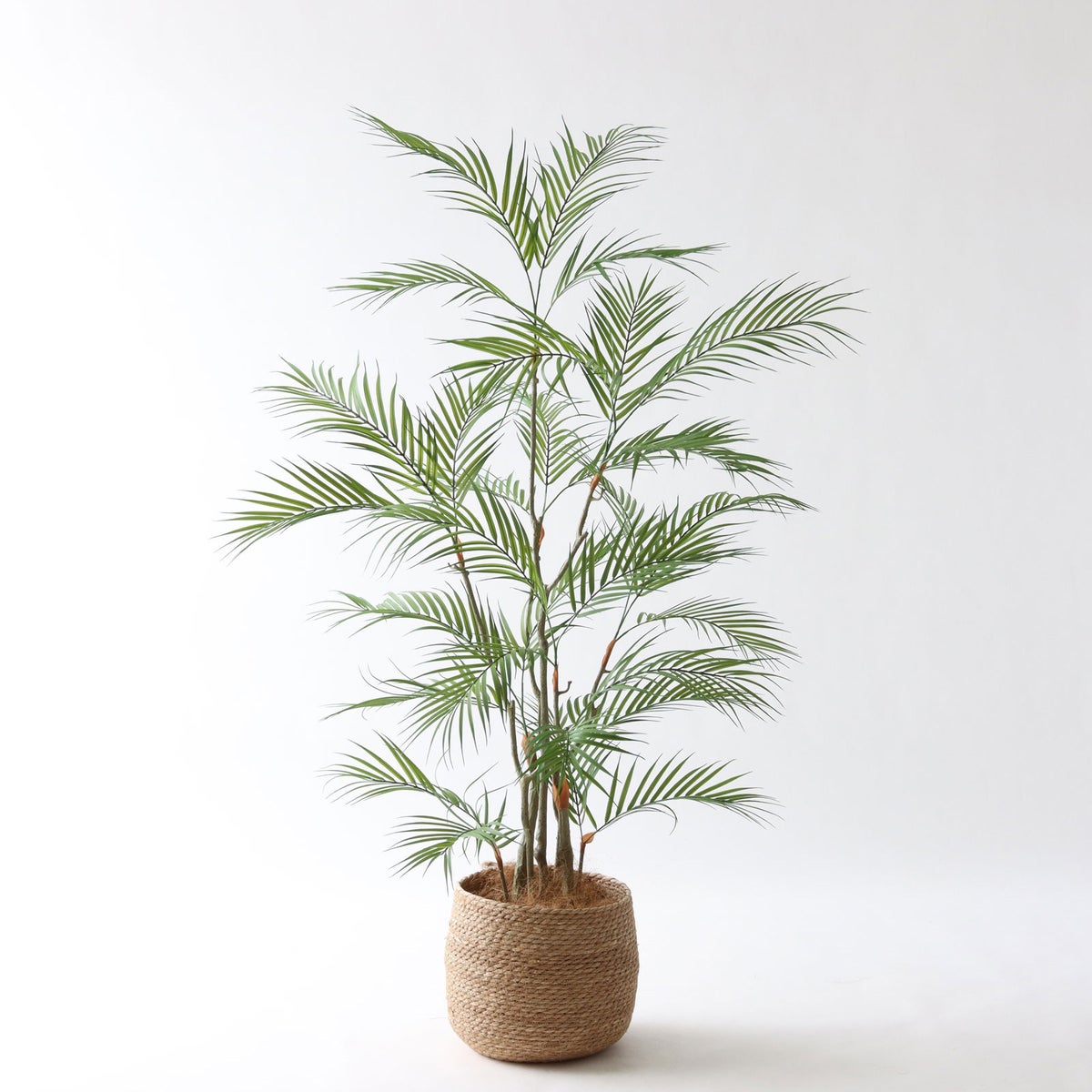 ③ シーグラス 小（SK7）｜標準セット