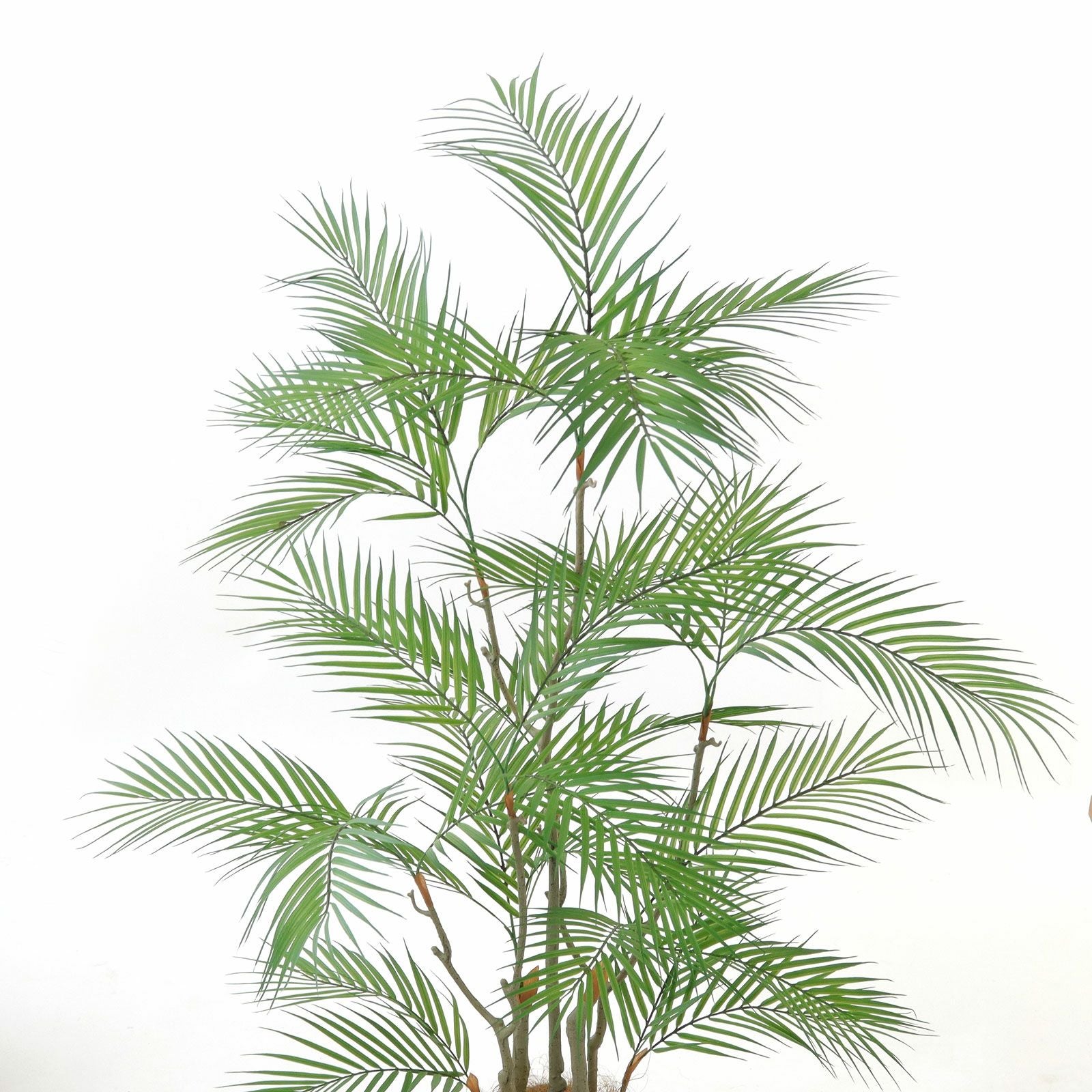 ガラス封入絵（自然植物使用） 山崎 葉 ガラス作品展 – artscape