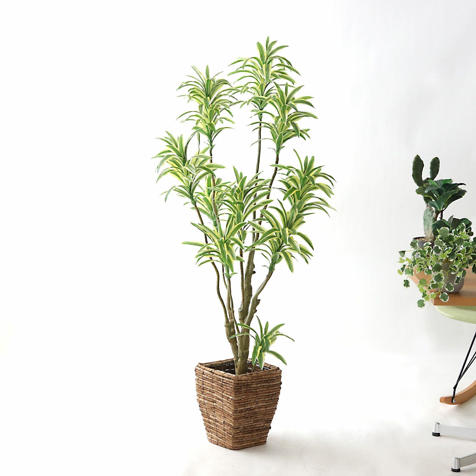 造花観葉植物 高さ120-150cm | プレミアム光触媒フェイクグリーン 造花ドットコム