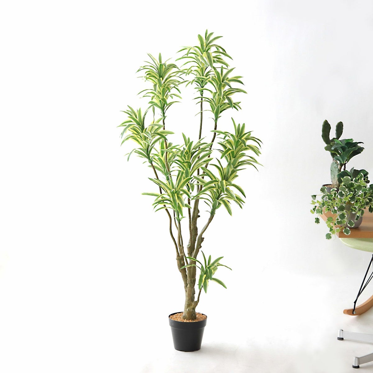 ⑭ プラ鉢（標準）