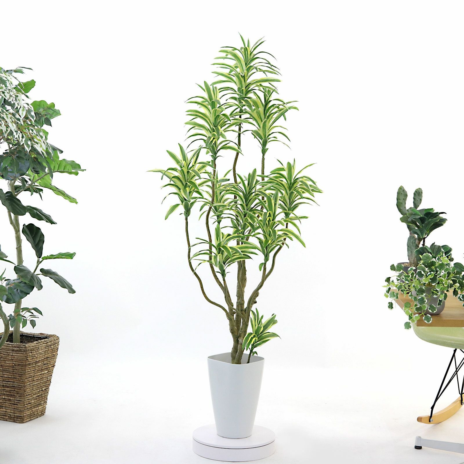 360度回転イメージ