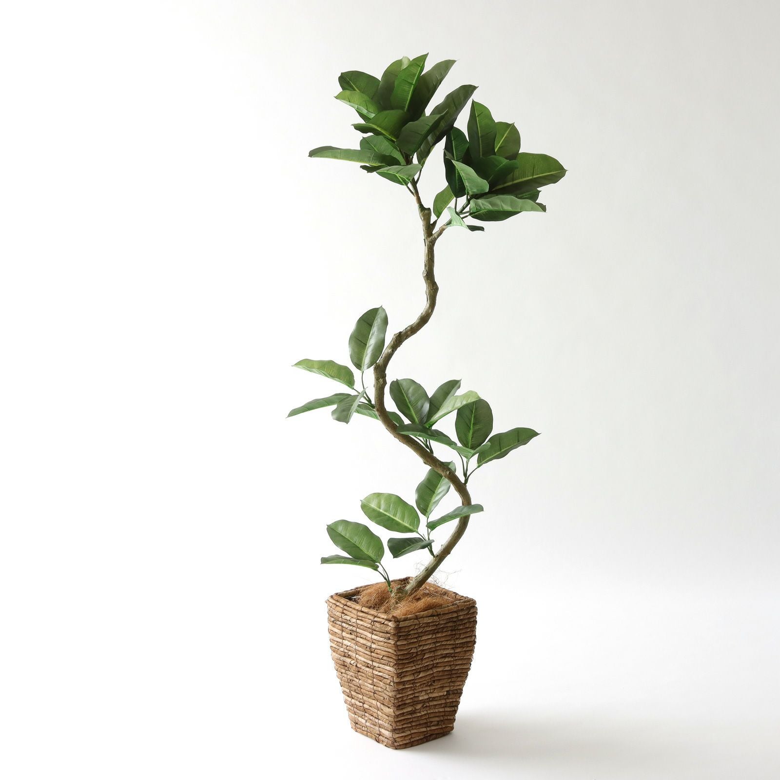 光触媒 フェイクグリーン 高さ120〜150cm 観葉植物 大型 インテリアグリーン 室内用 造花 おしゃれ