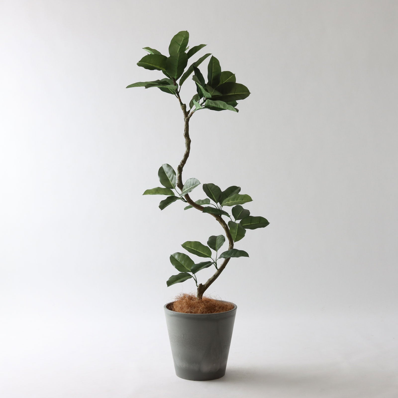 No8456 個性的な鉢カバーコーディネート