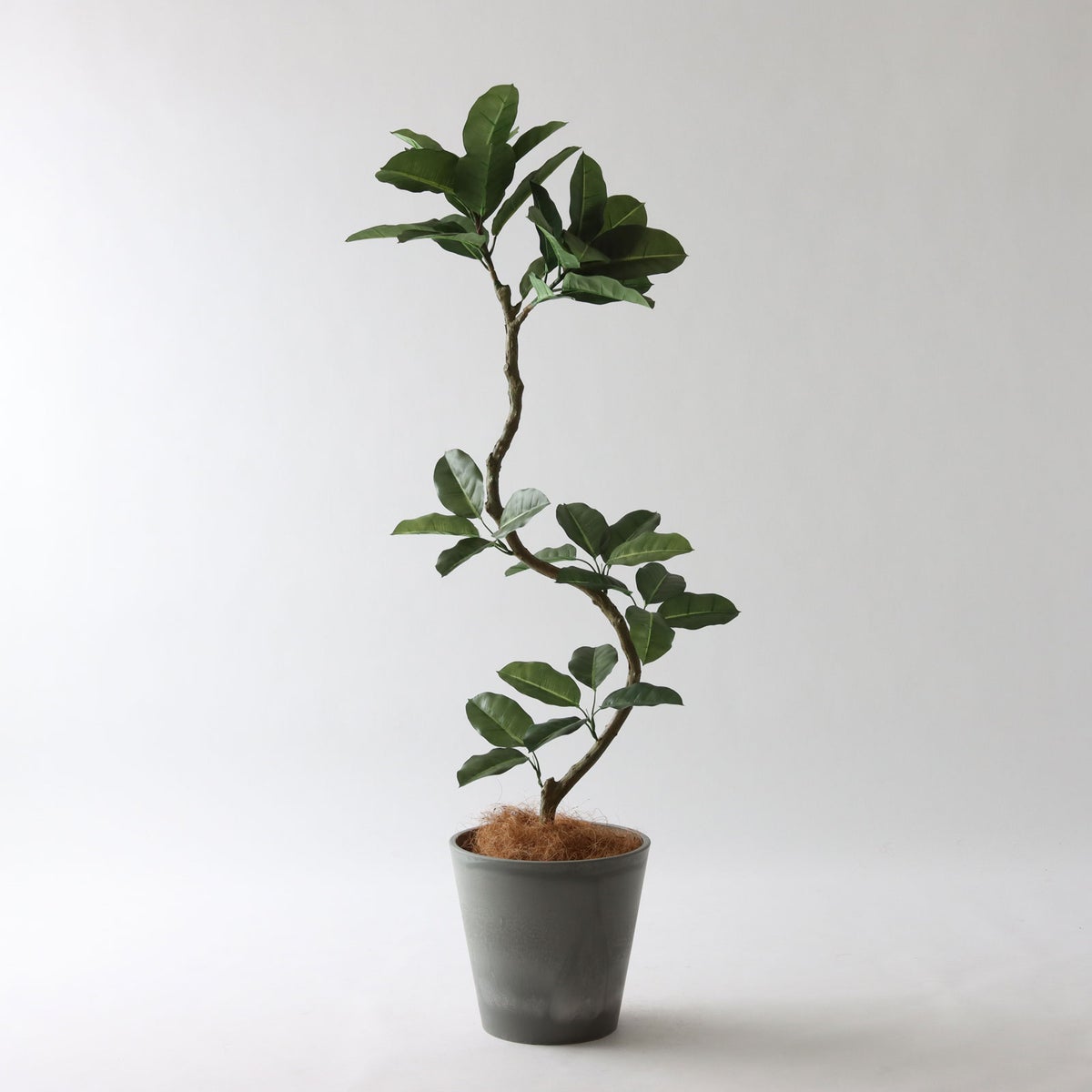 ⑮ Petraポット 小（PT8 グレー）｜高さ調整セット（+10cm）