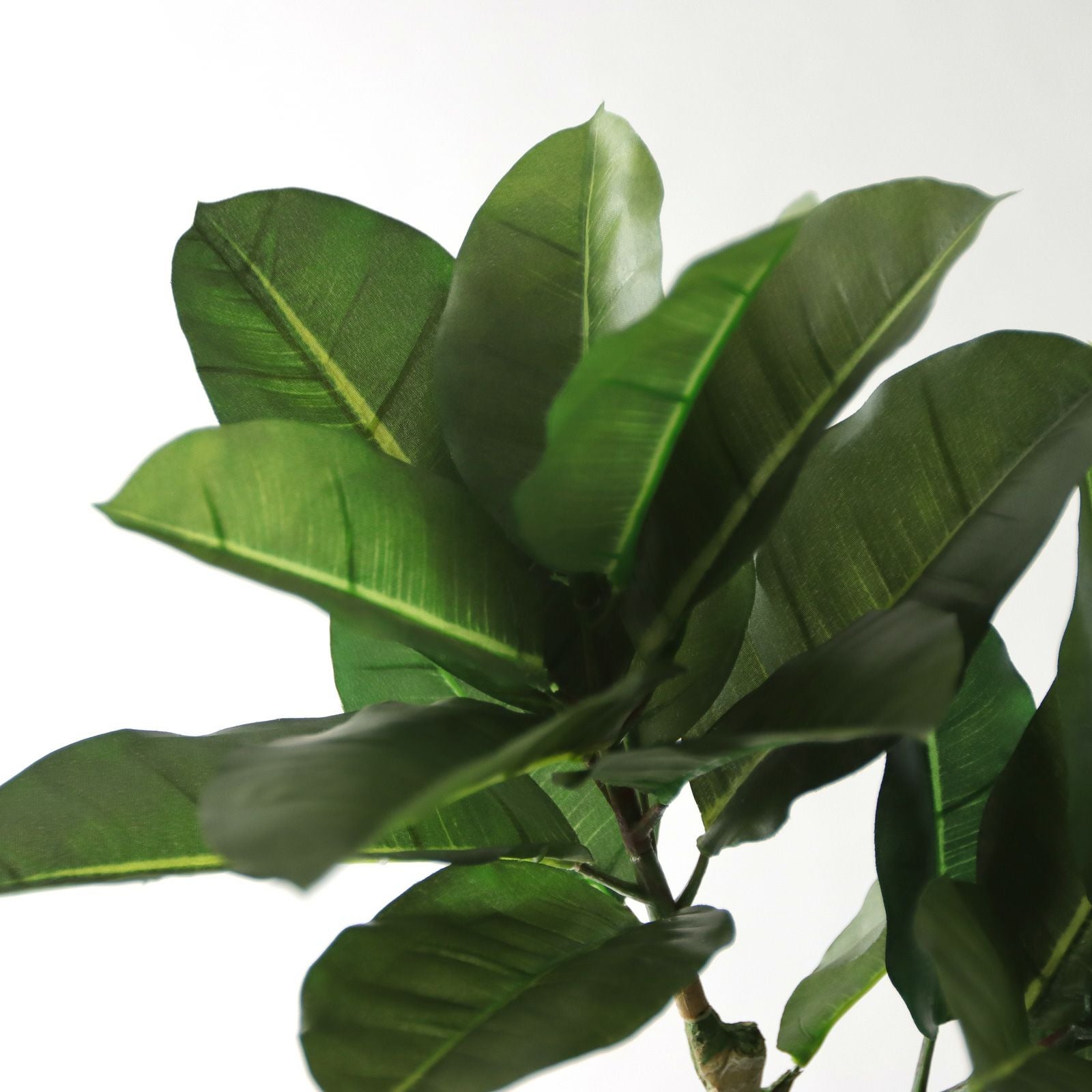 No8456 プレミアム光触媒フェイクグリーン【幹のラインを整えた半完成