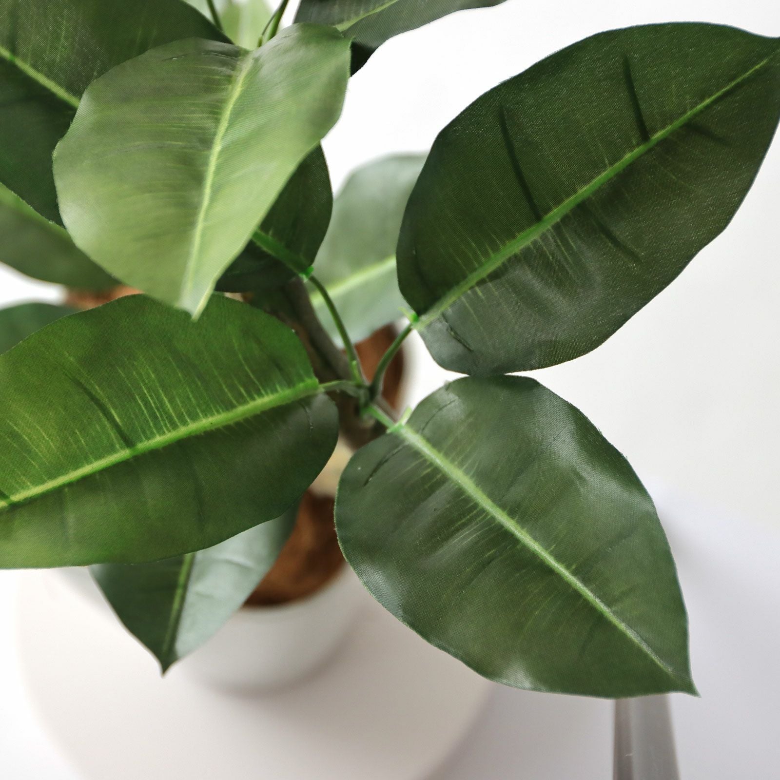 No8456 プレミアム光触媒フェイクグリーン【幹のラインを整えた半完成