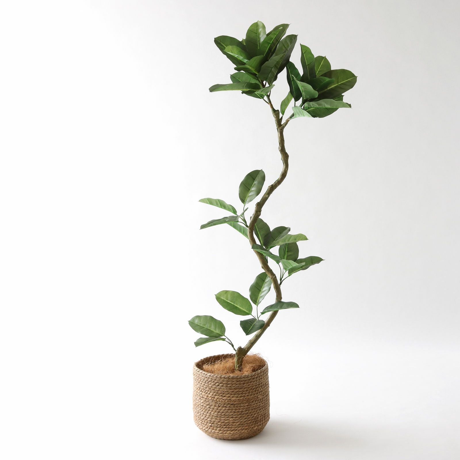 No8456 シーグラス鉢カバーコーディネート