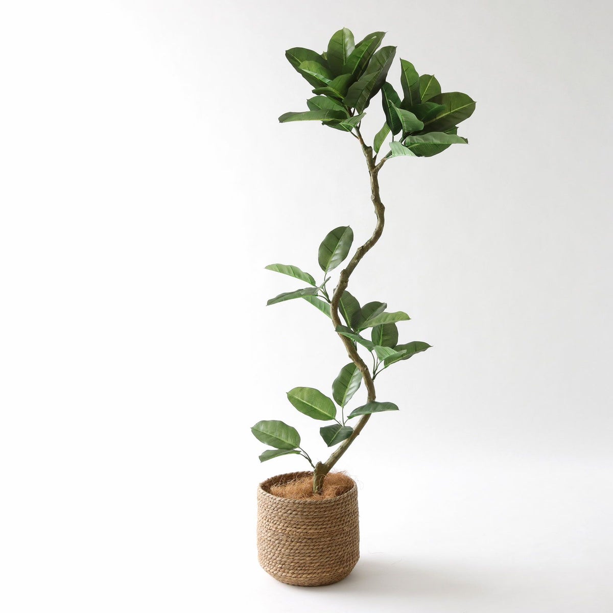 ③ シーグラス 小（SK7）鉢カバーセット