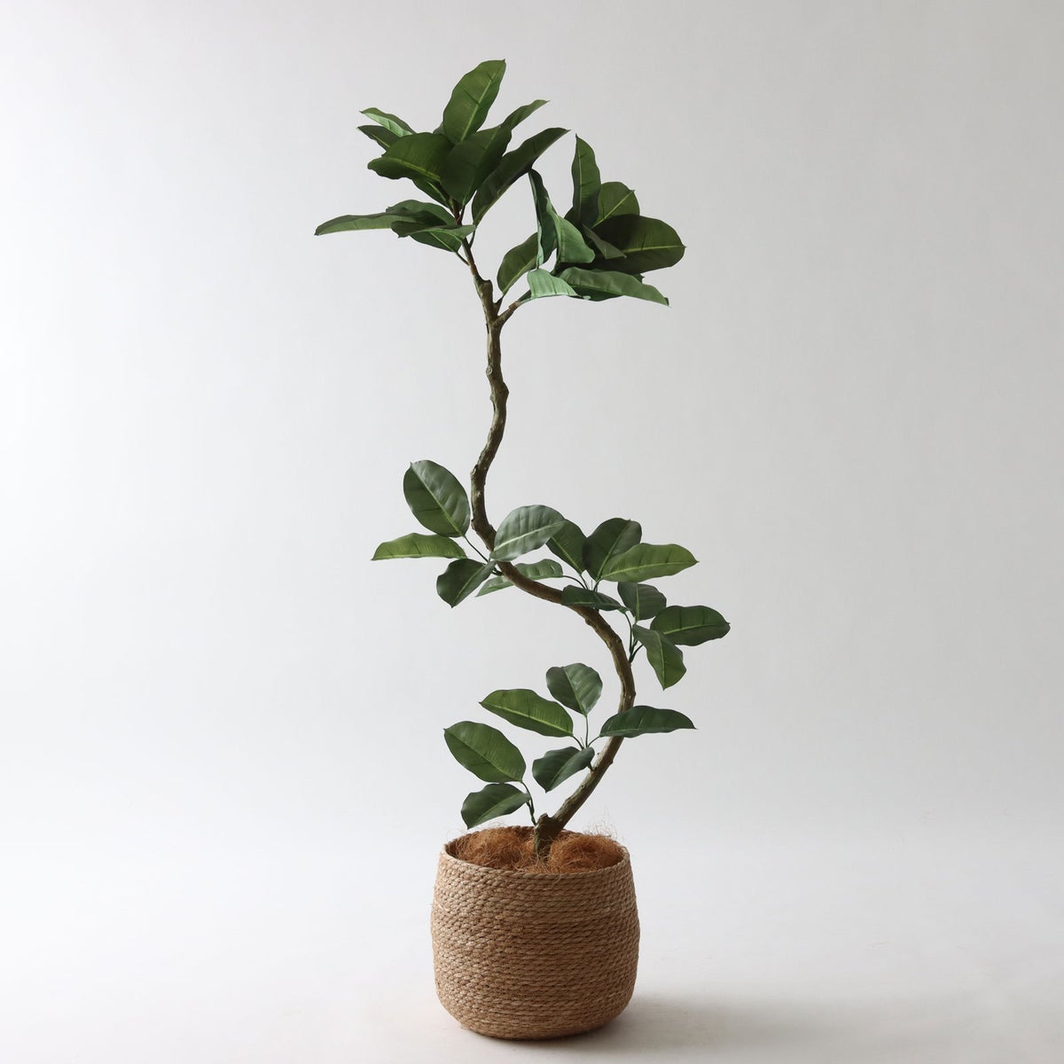 ③ シーグラス 小（SK7）｜標準セット