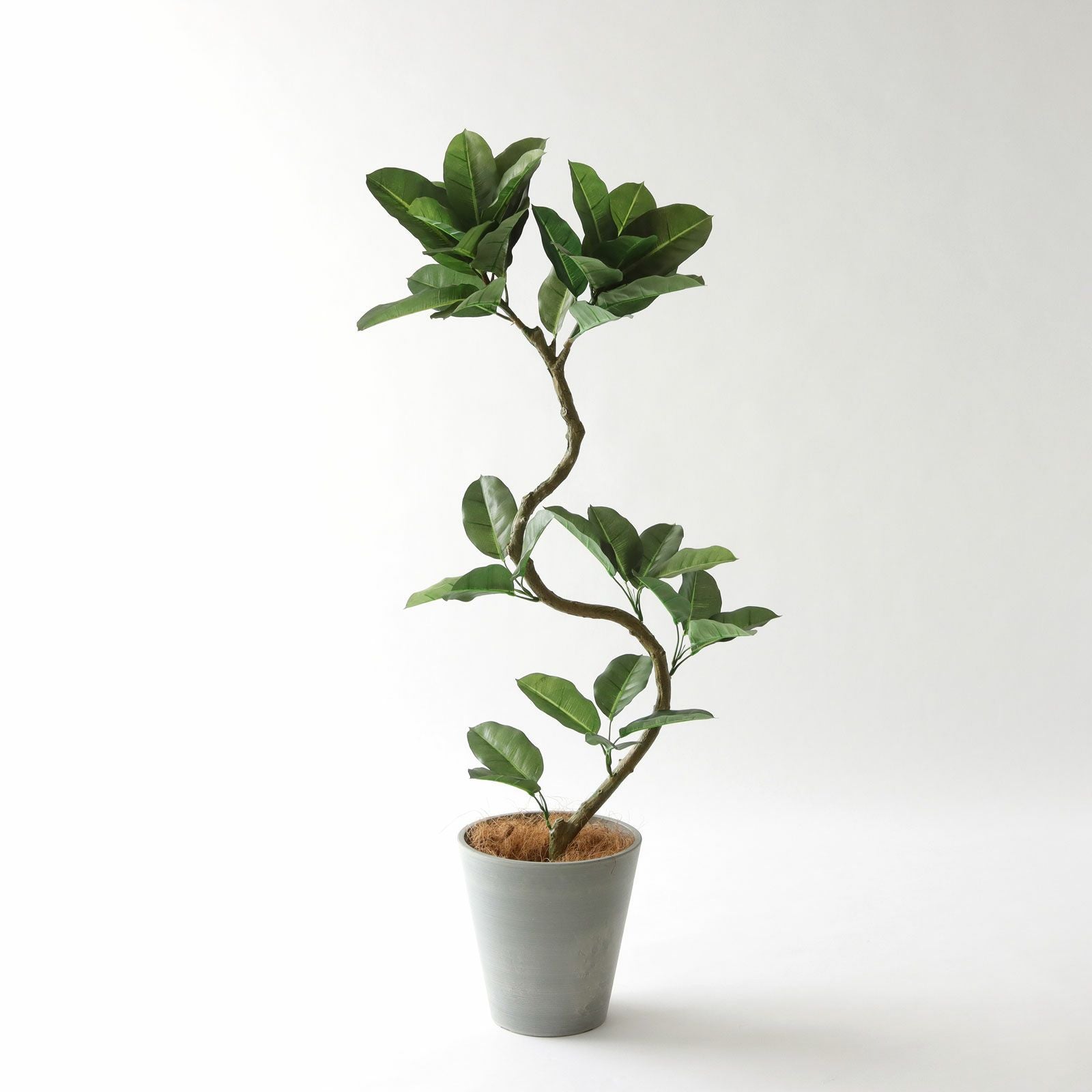 No8456 個性的な鉢カバーコーディネート