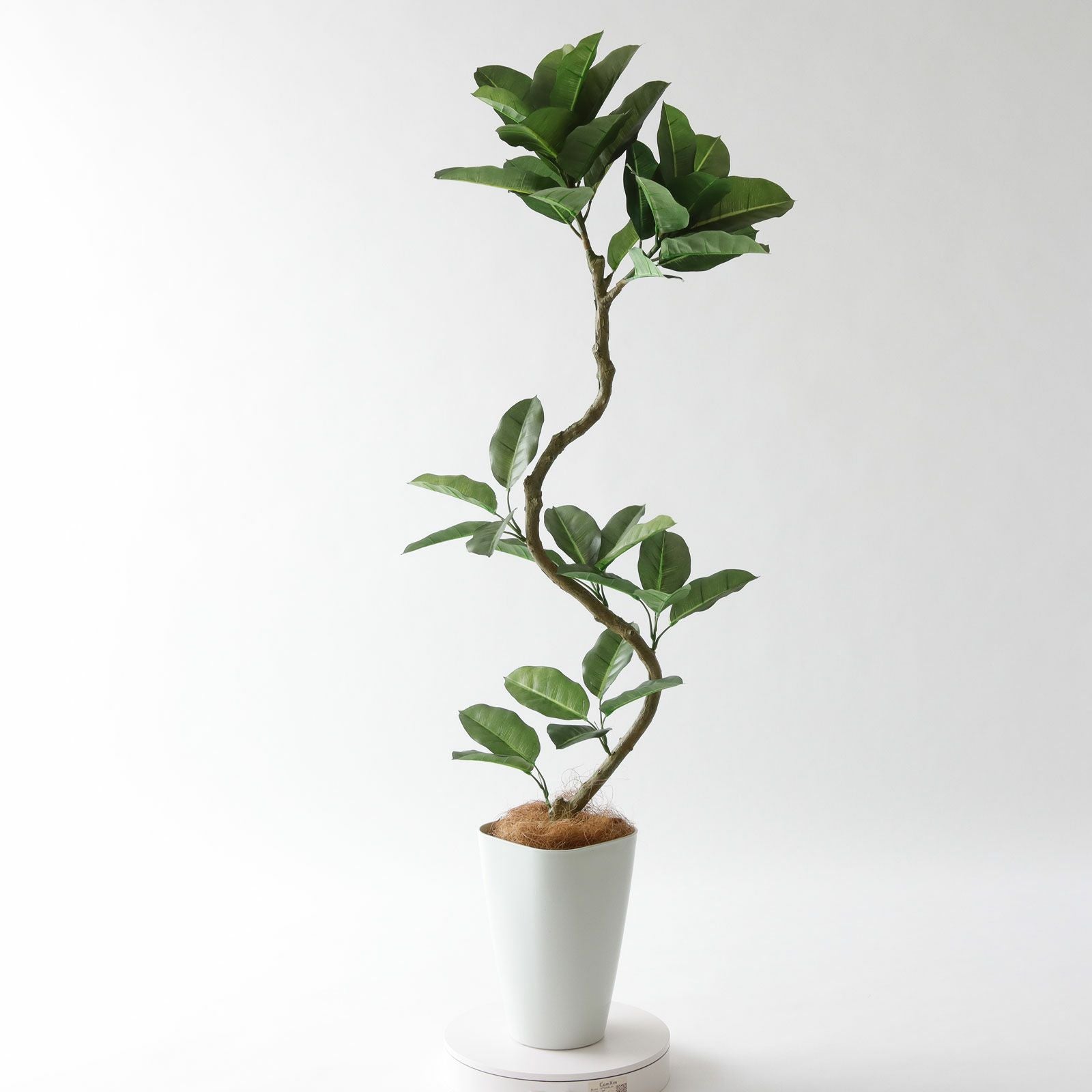 360度回転イメージ