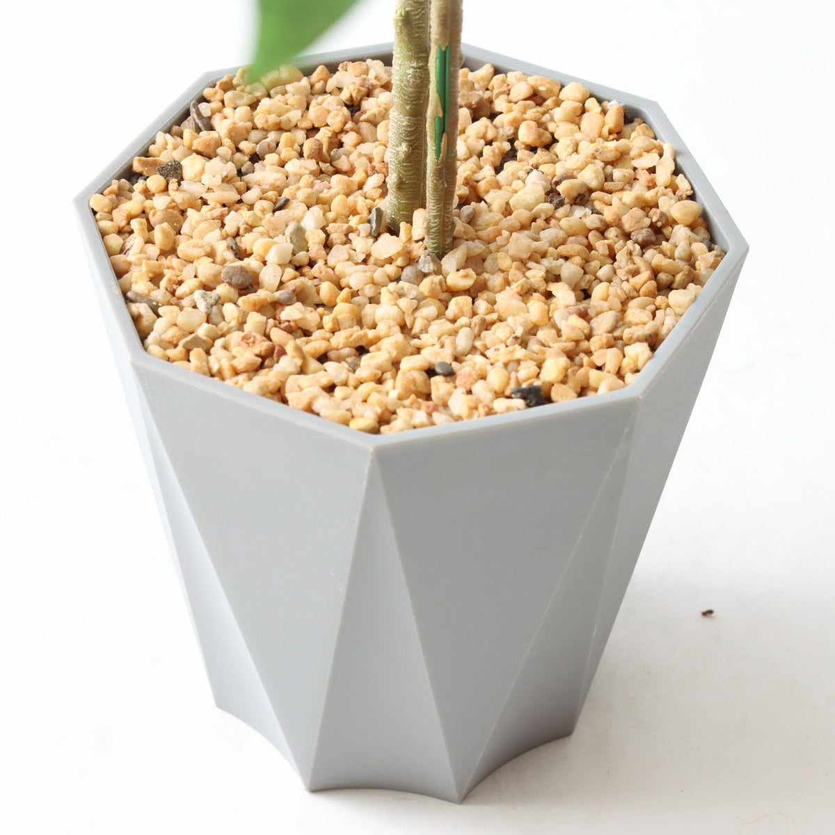 ⑬ Formaポット（標準）