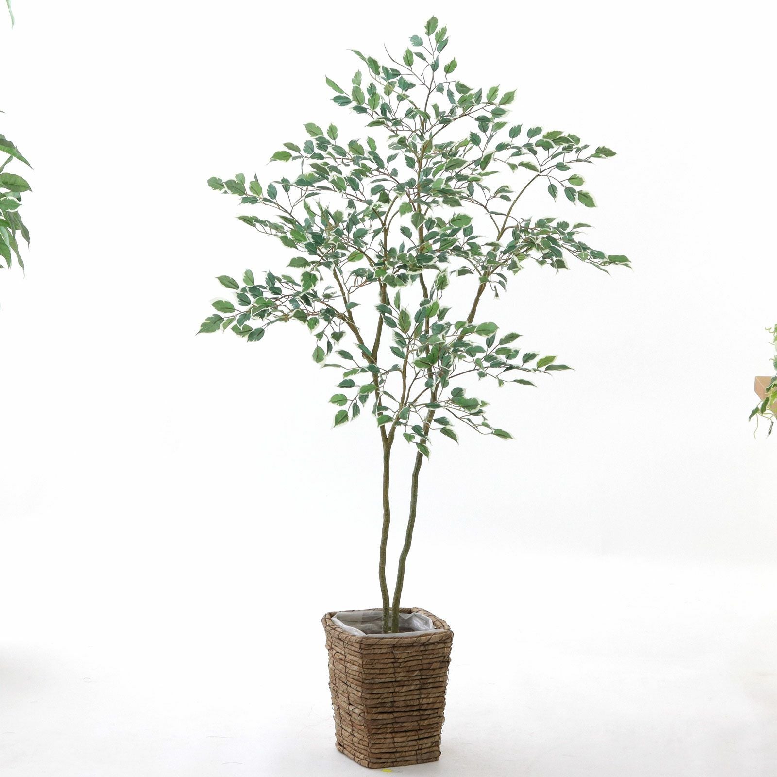 高さ100-120cm | プレミアム光触媒フェイクグリーン 造花ドットコム