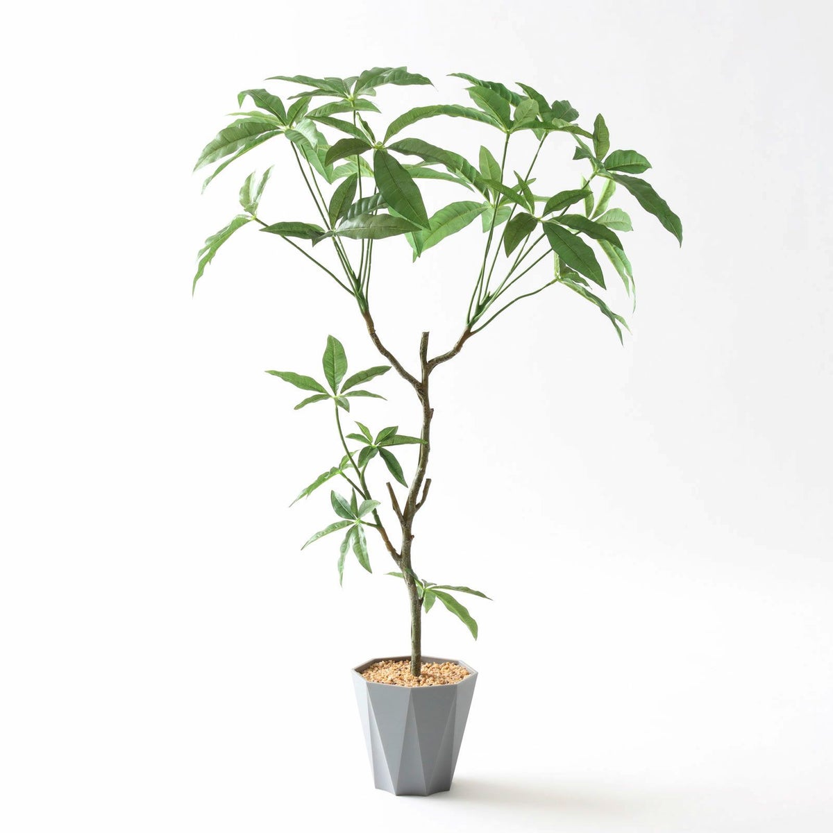 ⑬ Formaポット（標準）