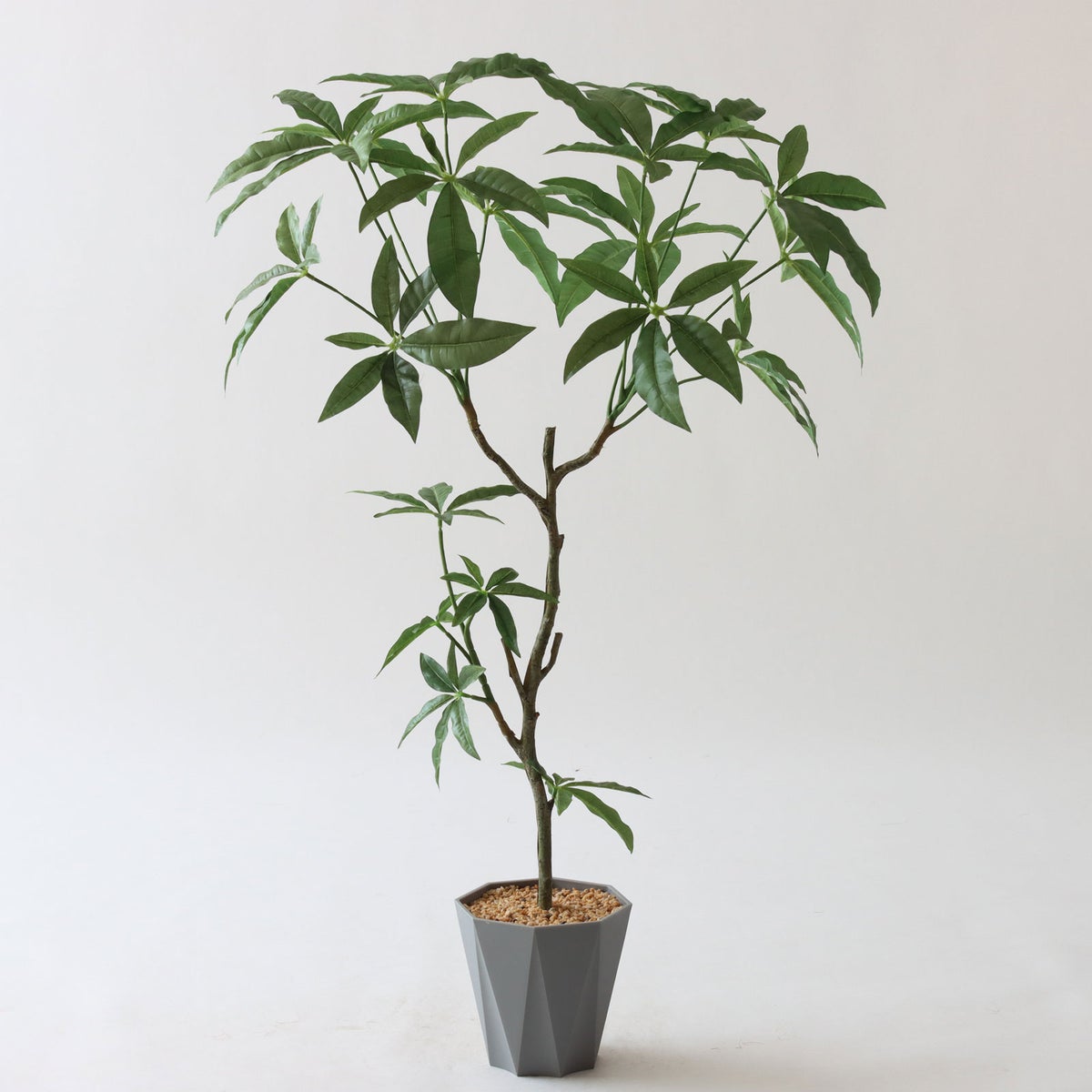 ⑬ Formaポット（標準）