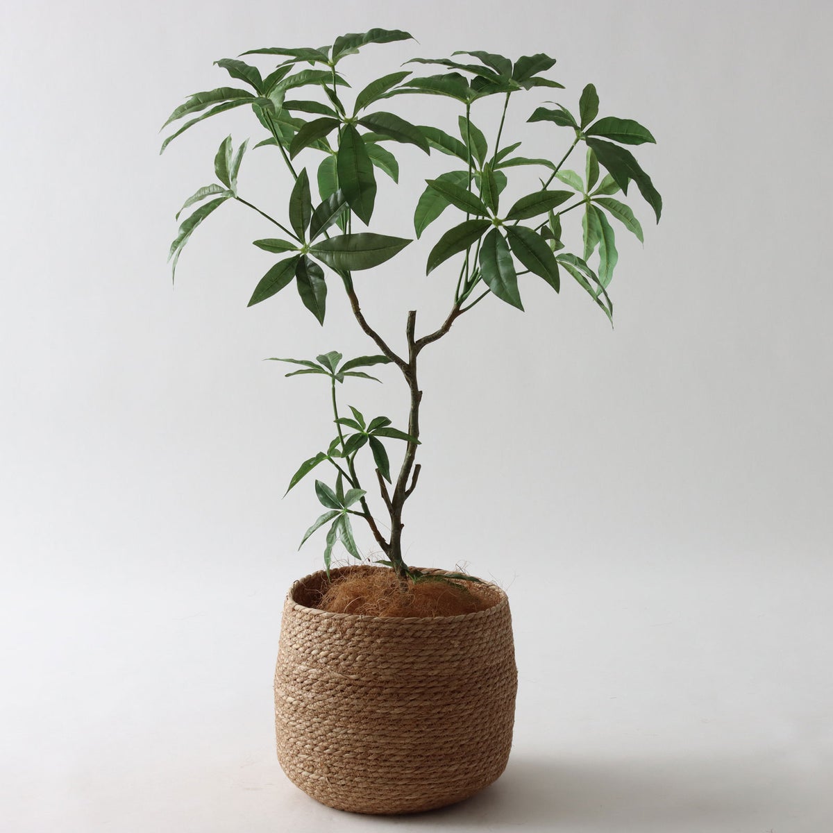 ③ シーグラス 小（SK7）｜標準セット