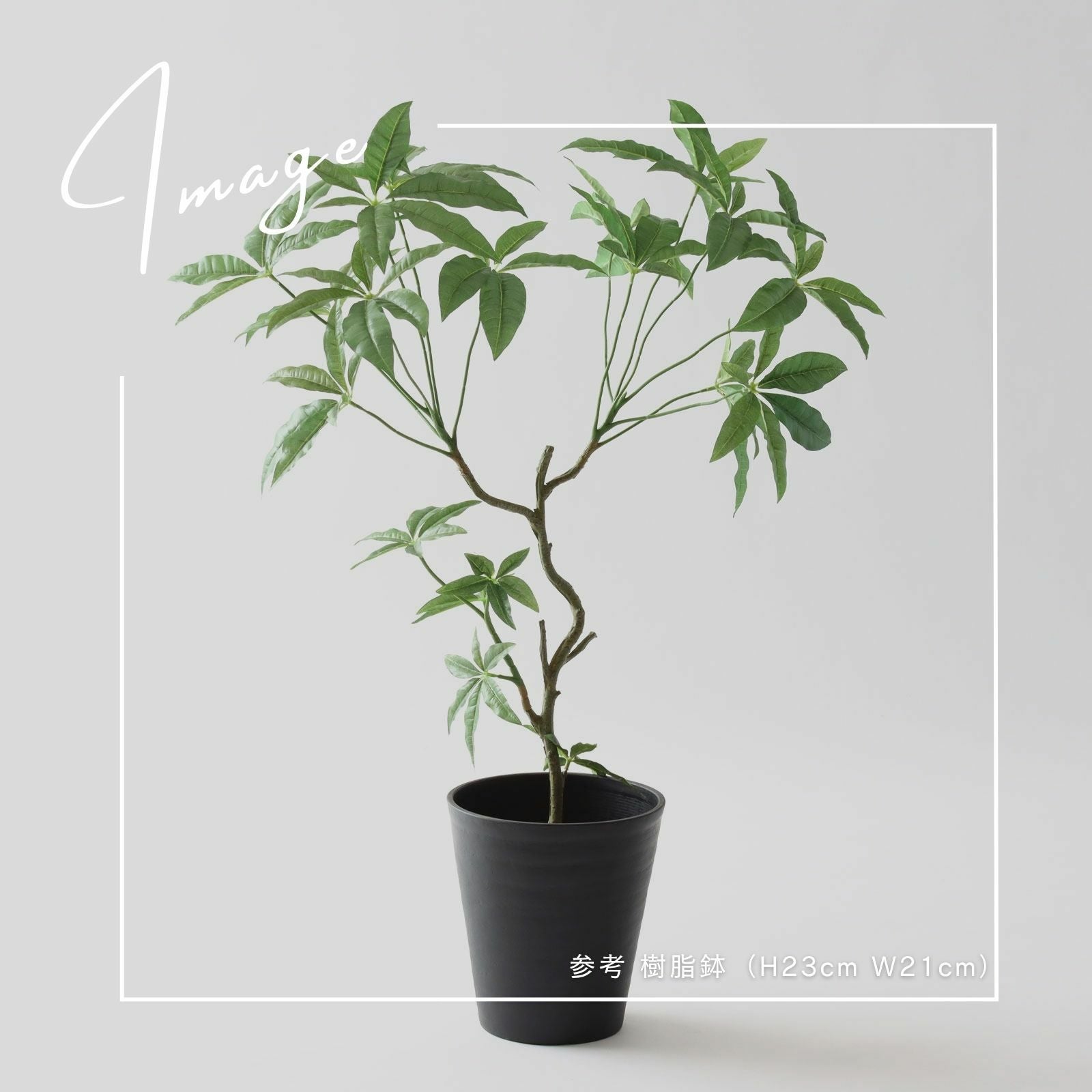 ナチュラルな鉢カバーとグリーン