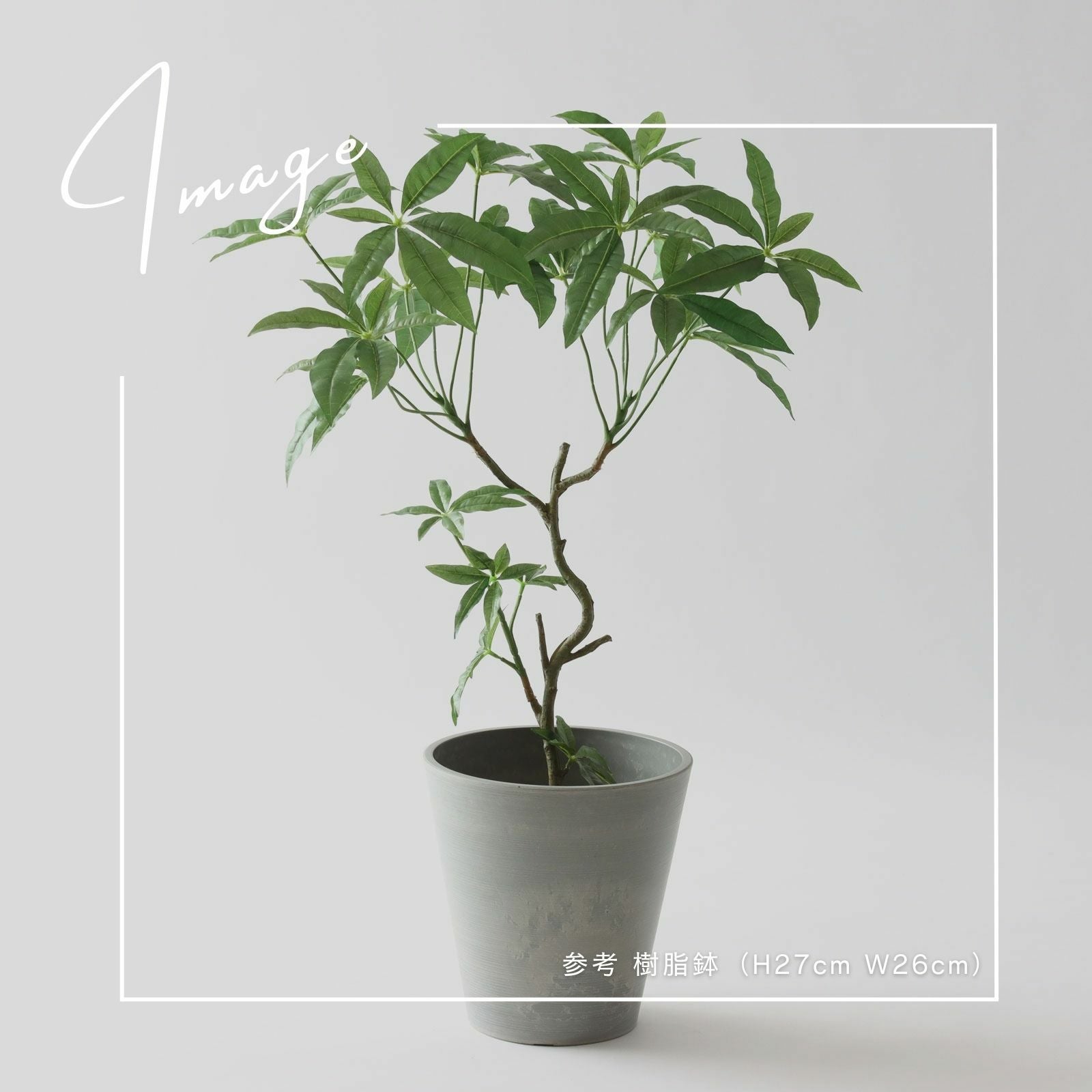 落ち着いた鉢カバーとグリーン