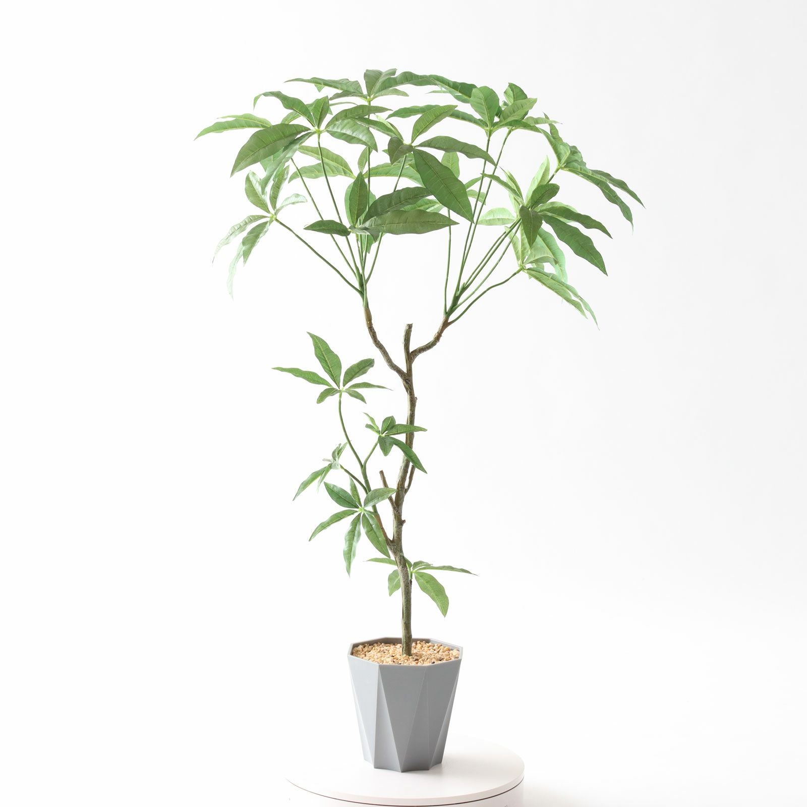 360度回転イメージ