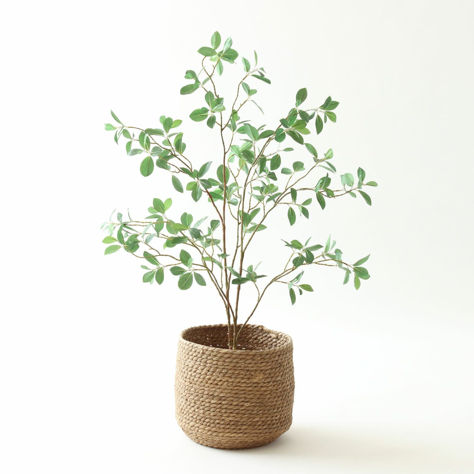 シーグラス鉢カバーとグリーンのある空間