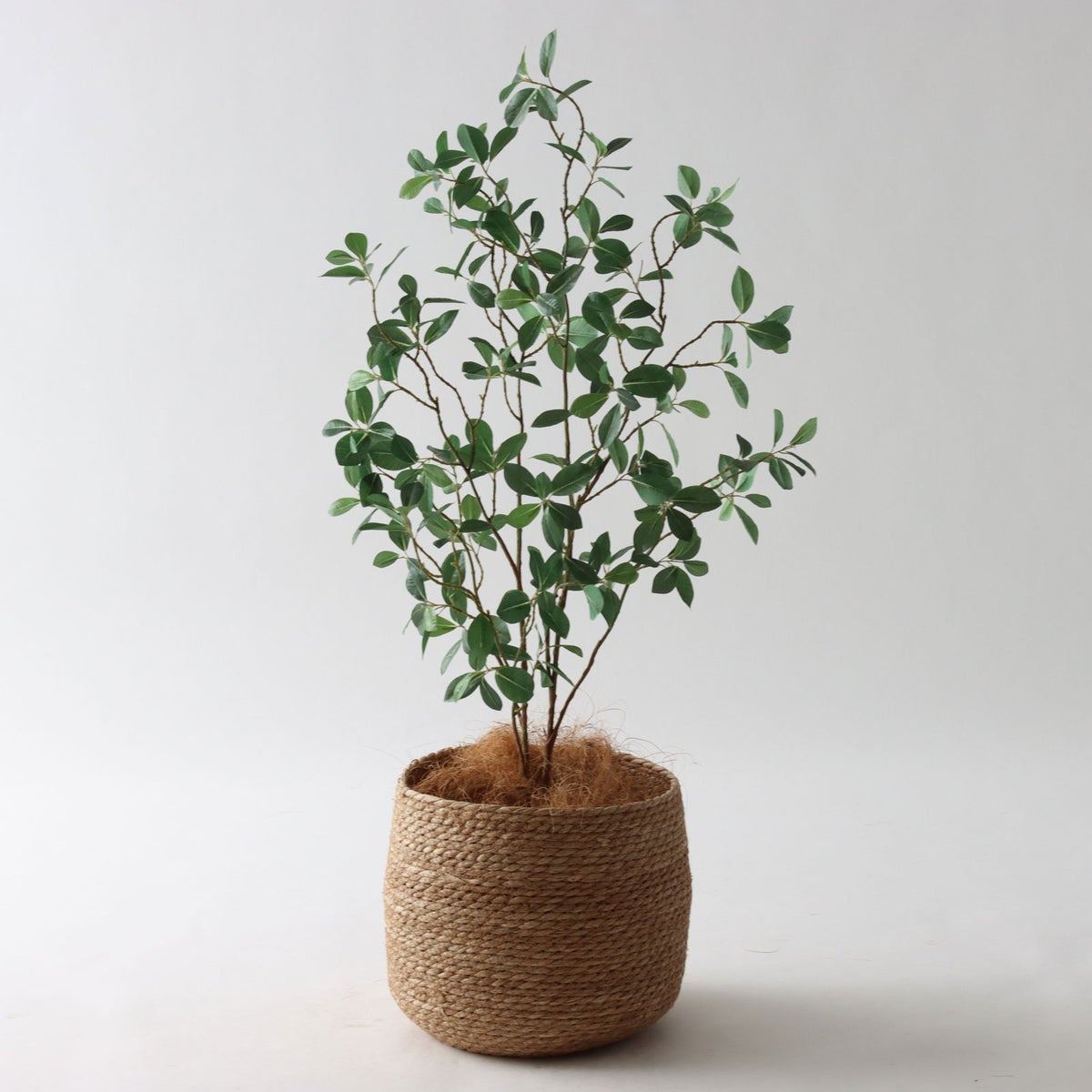 ③ シーグラス 小（SK7）｜標準セット