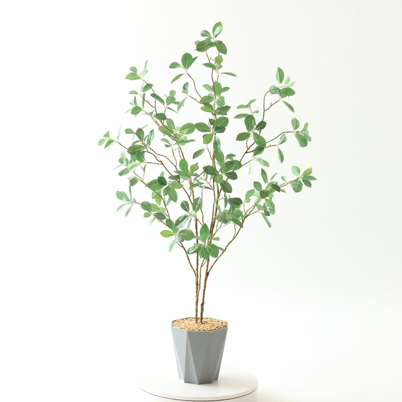 360度回転イメージ