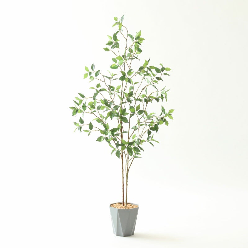 ⑬ Formaポット（標準）