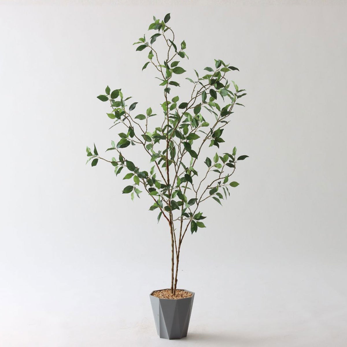 ⑬ Formaポット（標準）