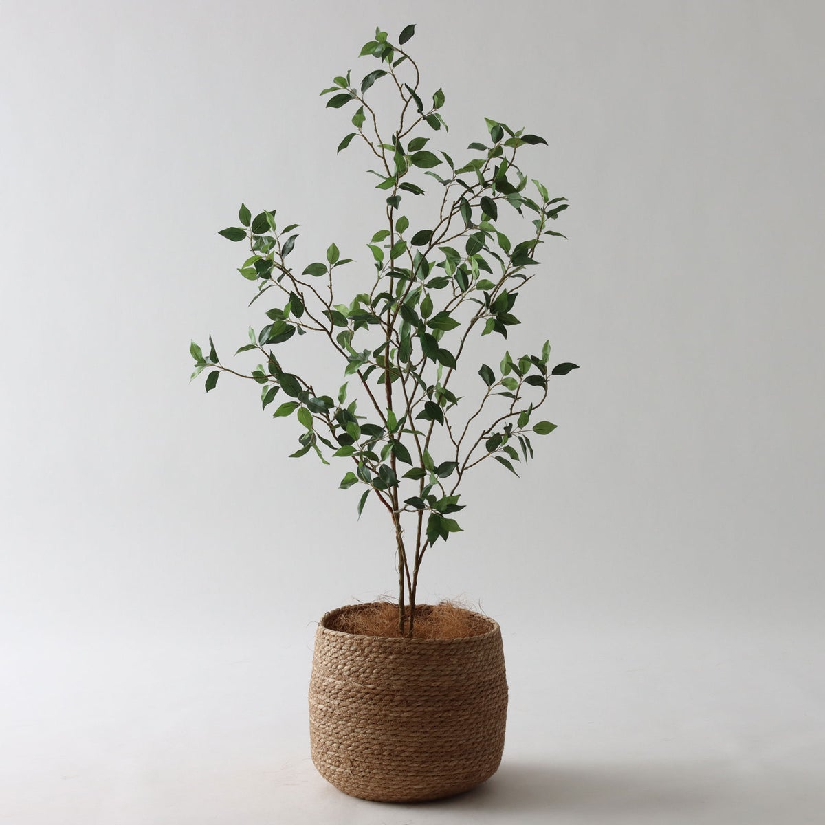 ③ シーグラス 小（SK7）｜標準セット