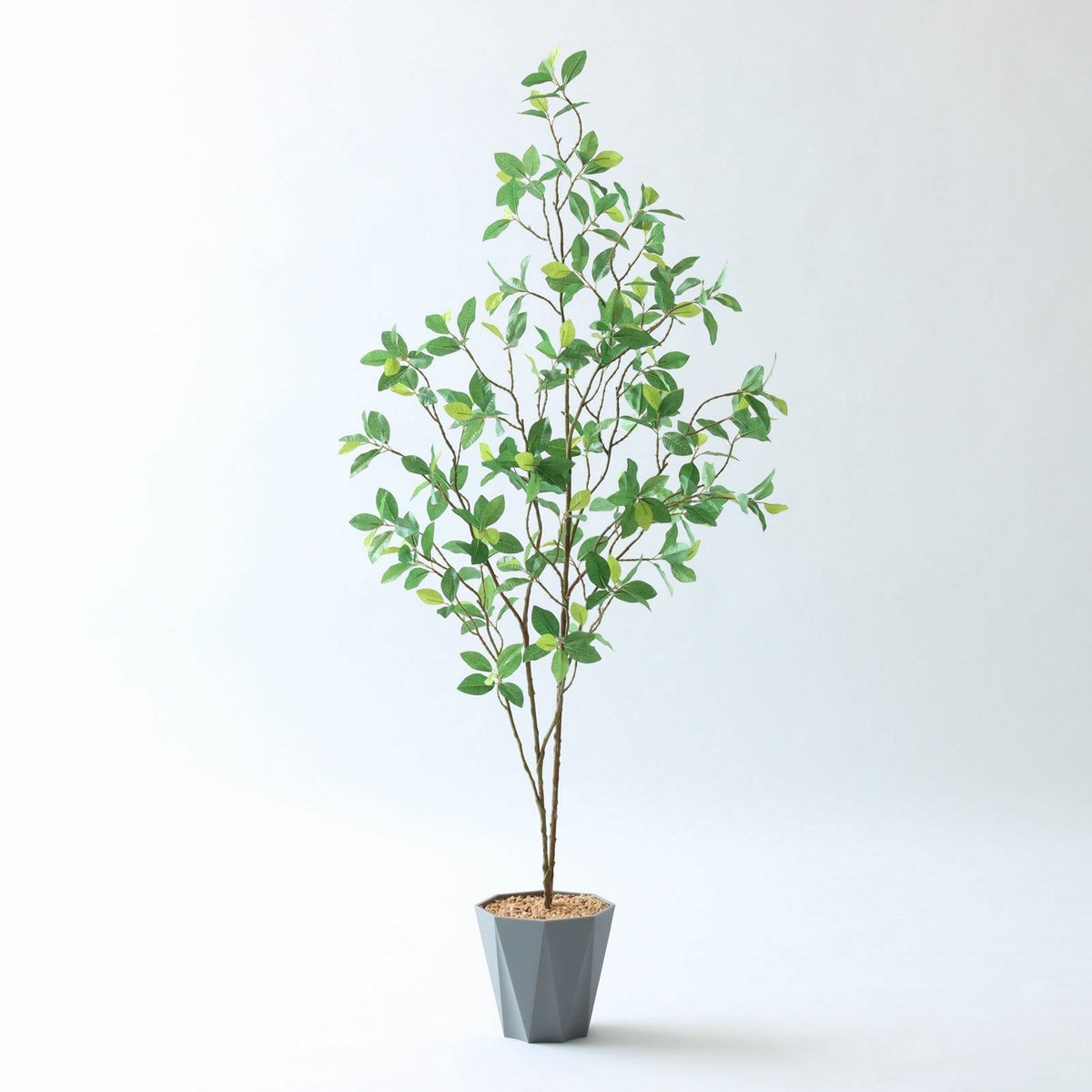 ⑬ Formaポット（標準）