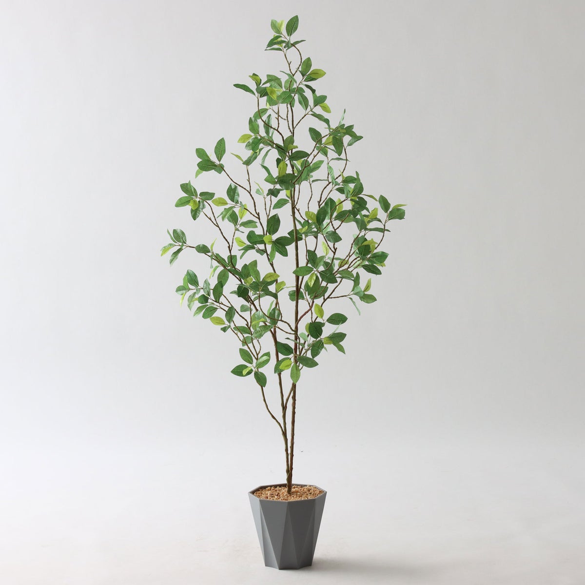 ⑬ Formaポット（標準）