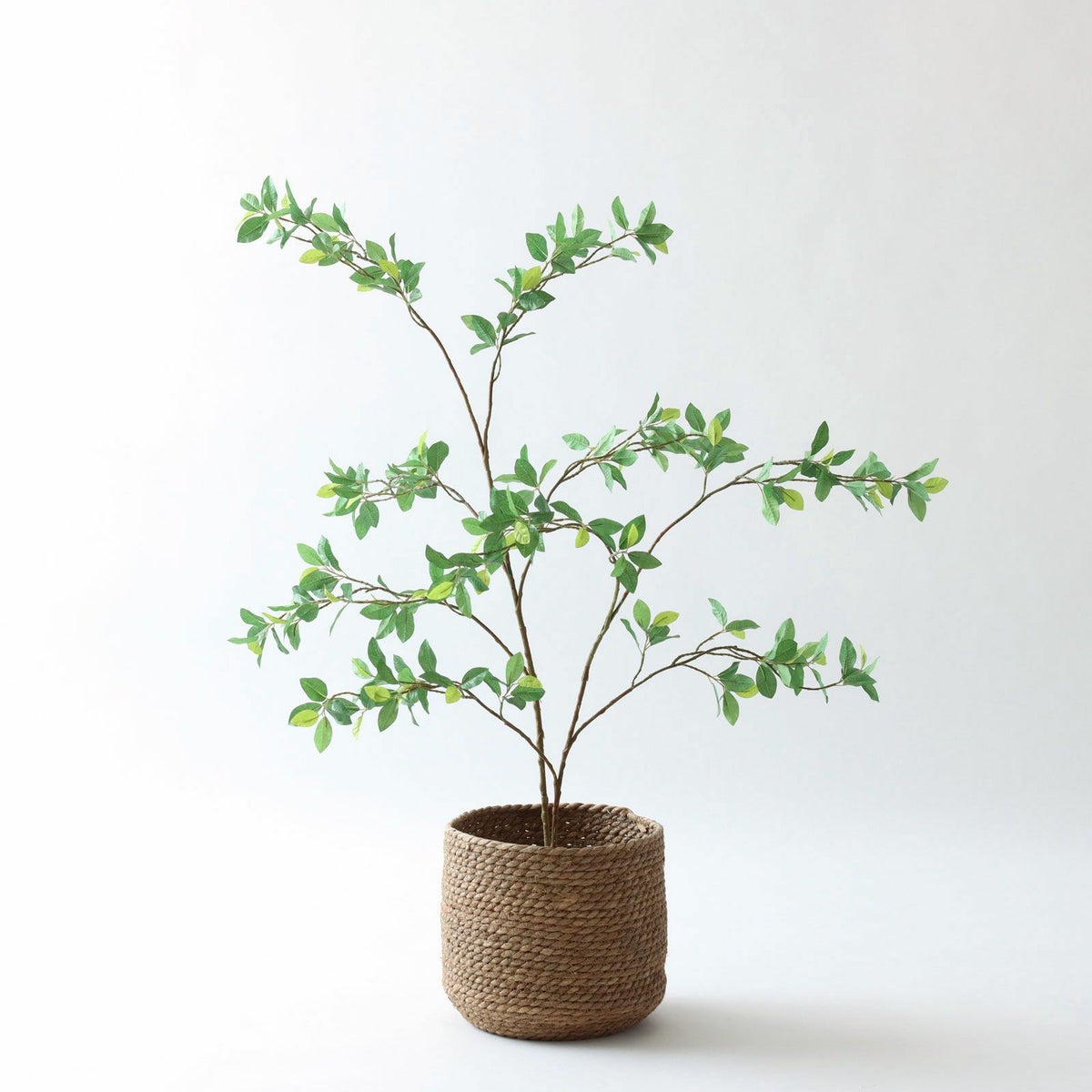 ③ シーグラス 小（SK7）