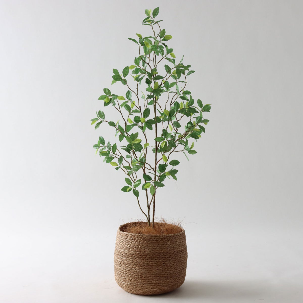 ③ シーグラス 小（SK7）｜標準セット