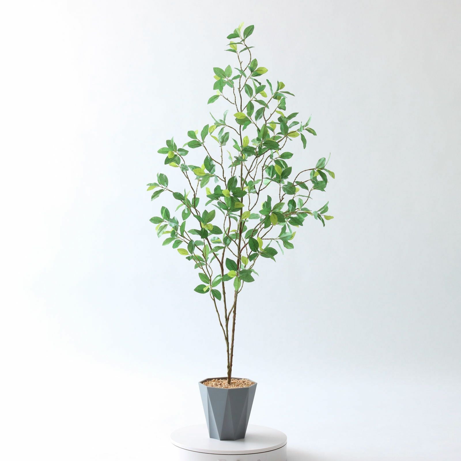 360度回転イメージ