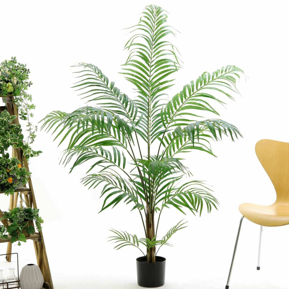 プラ鉢（+0円）