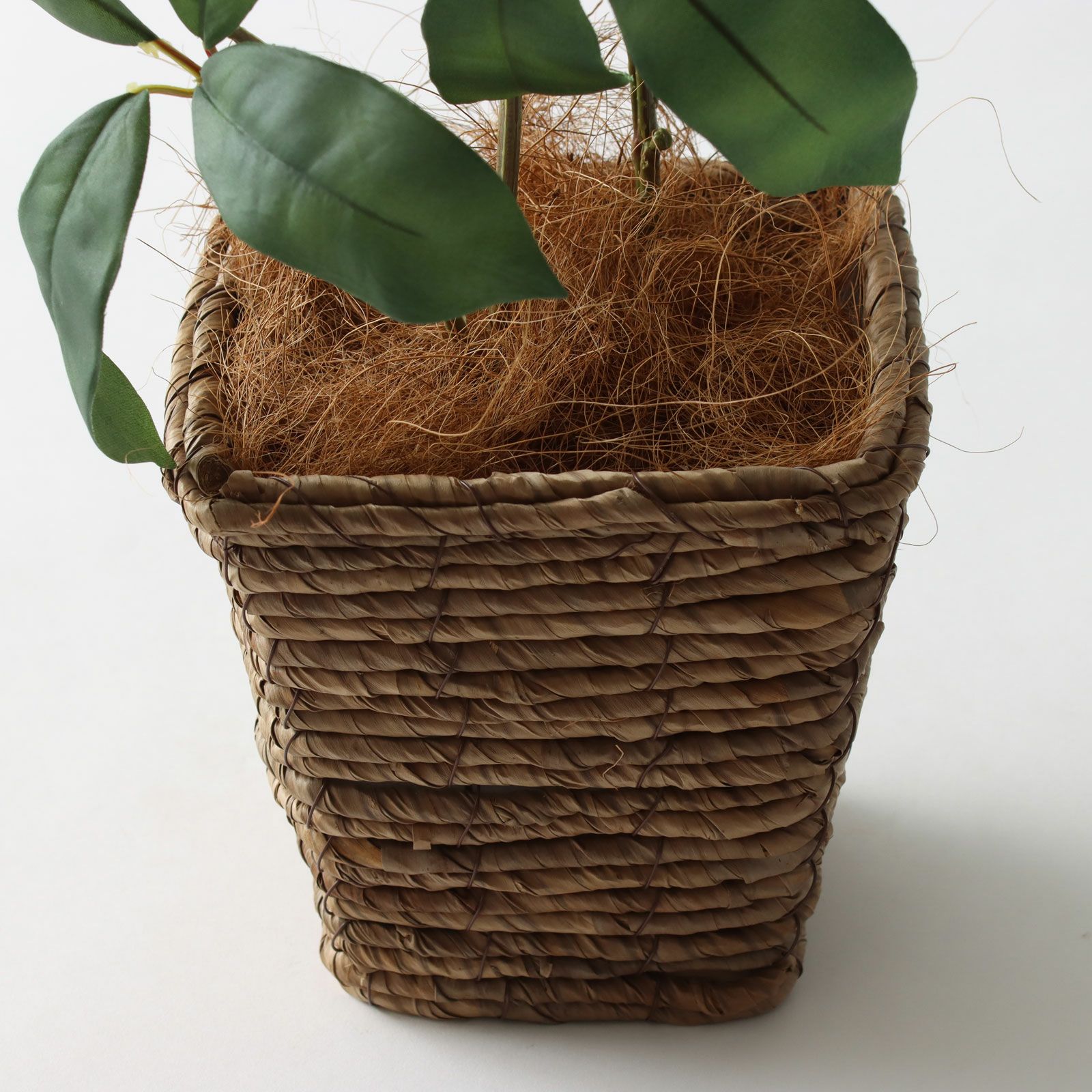 光触媒　人工観葉植物　フェイクグリーン　ブリザードフラワー　エレノア2 光触媒 人工観葉植物 フェイクグリーン ブリザードフラワー エレノア2
