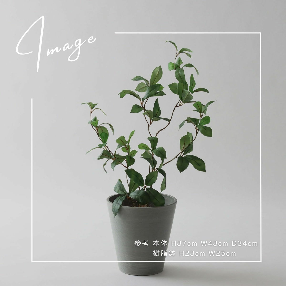 【参考】h87cm w48cm d34cm 鉢：h27cm w26cm