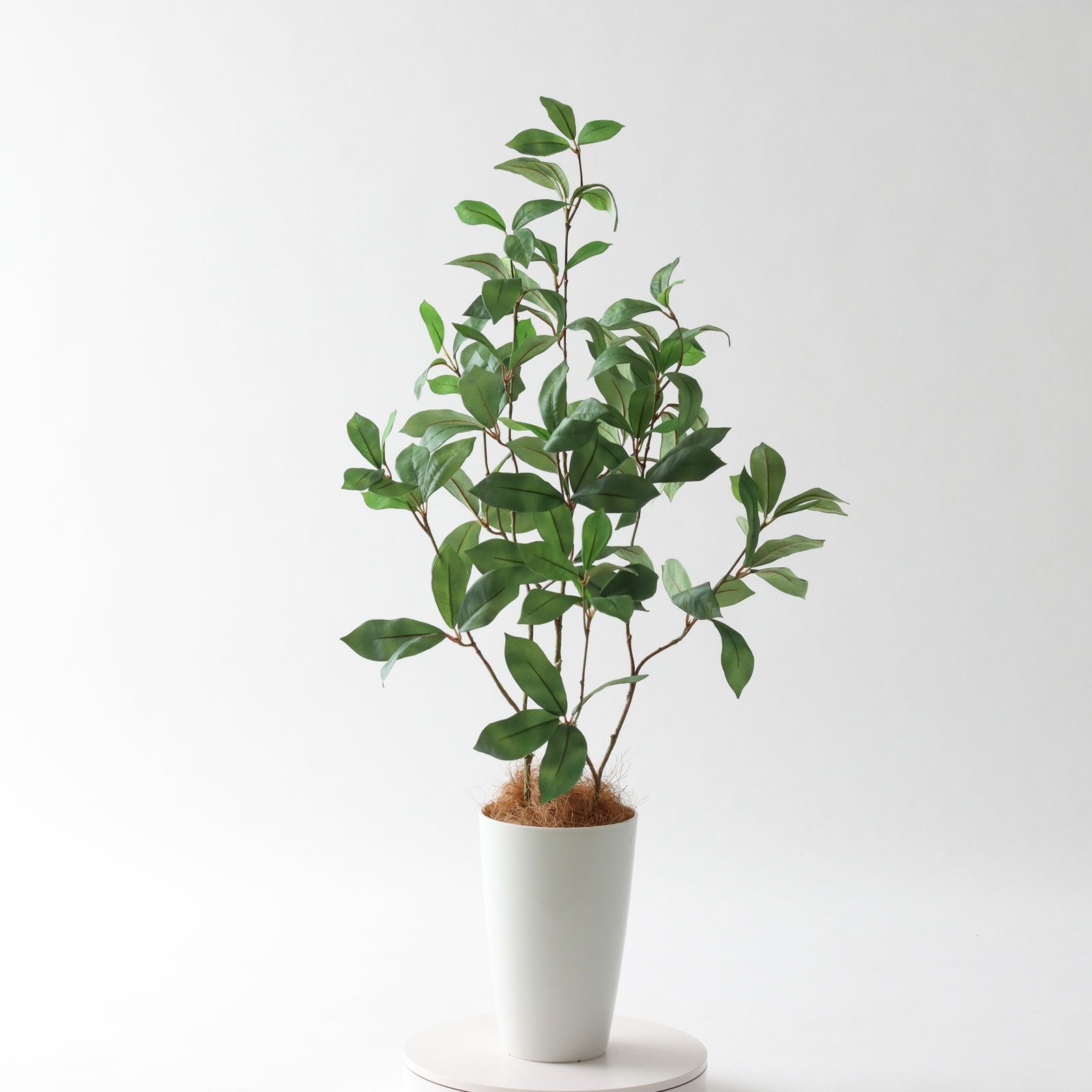 360度回転イメージ